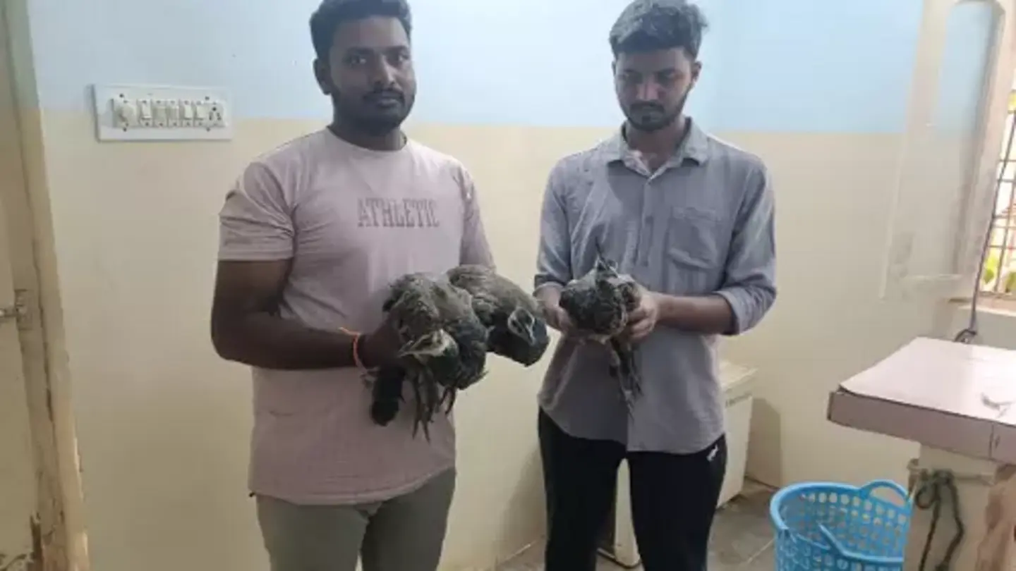 Bird Deaths in Anantapur Spark Investigation, Raise Concerns