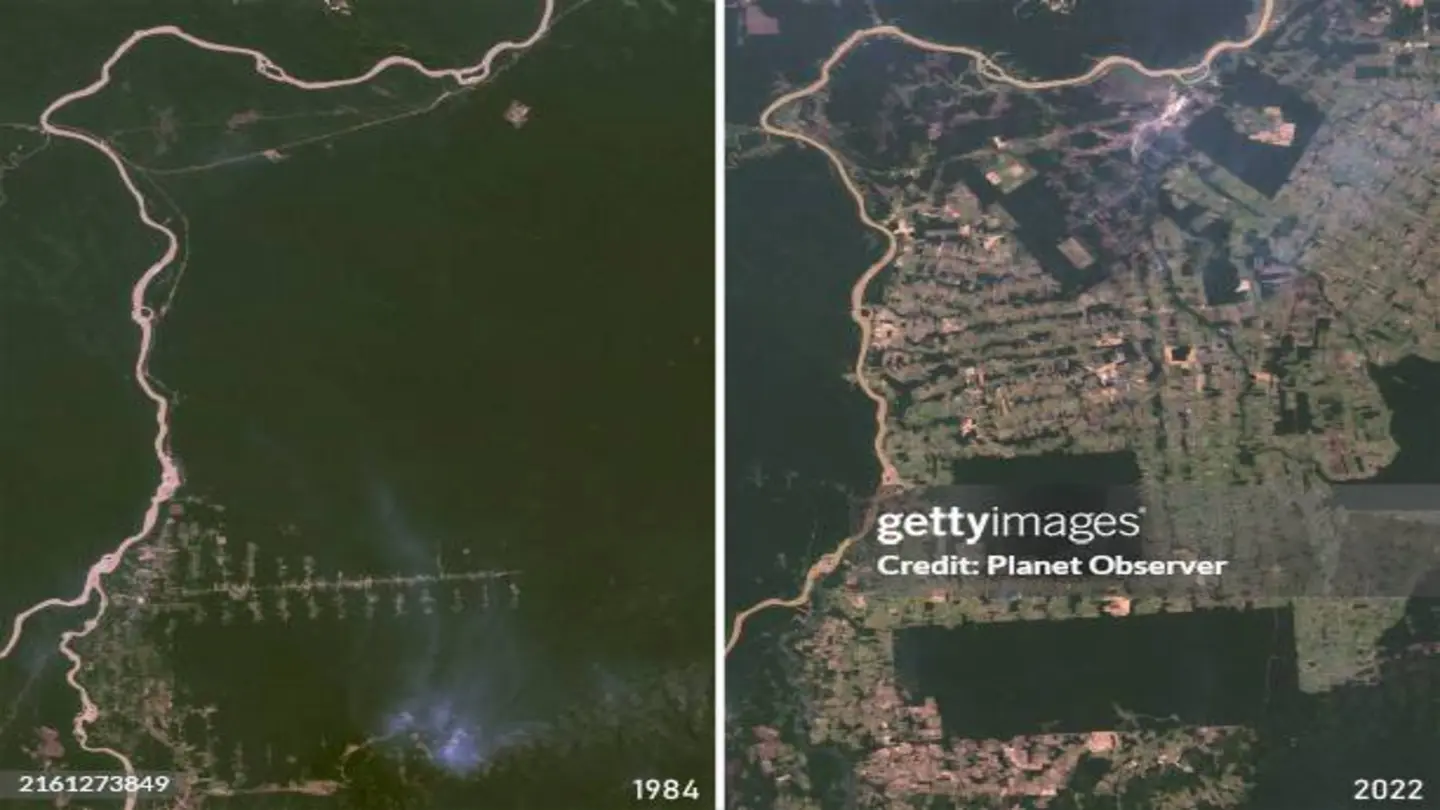 New AI Model Links Specific Actors to Deforestation Events