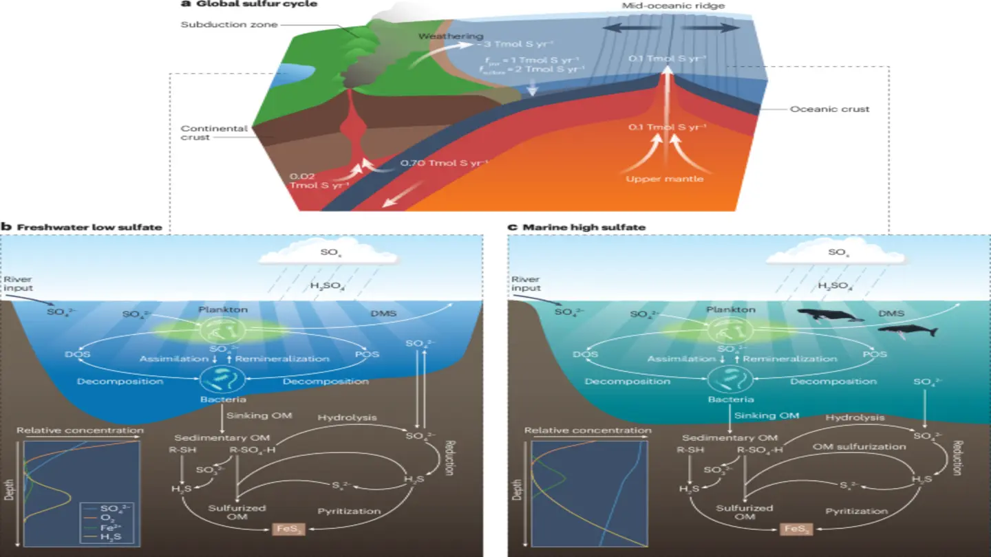 Carbon Cycling in Freshwater: New Insights into Isotope Variation