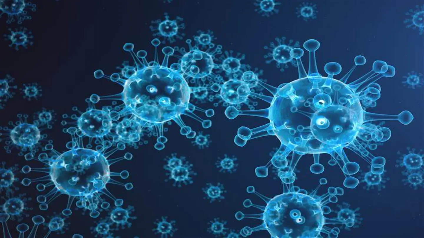 Repeated Flu Shots Diminish Initial Immunity, Study Finds