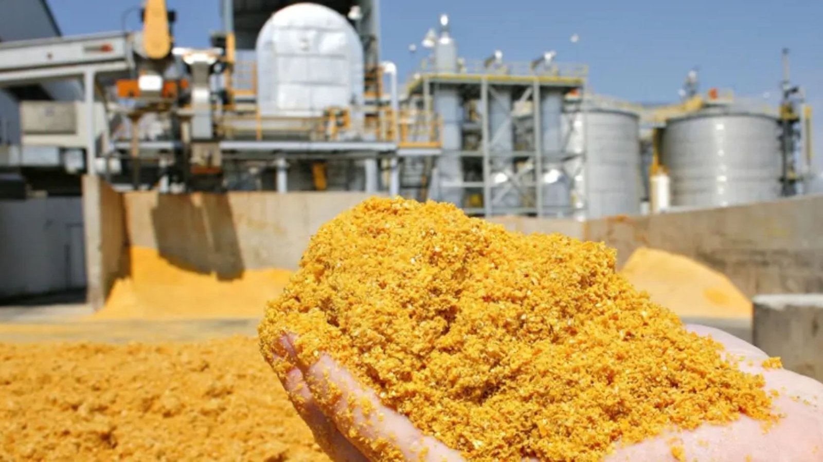 India limits US DDGS duty concessions to 5 lakh tonnes