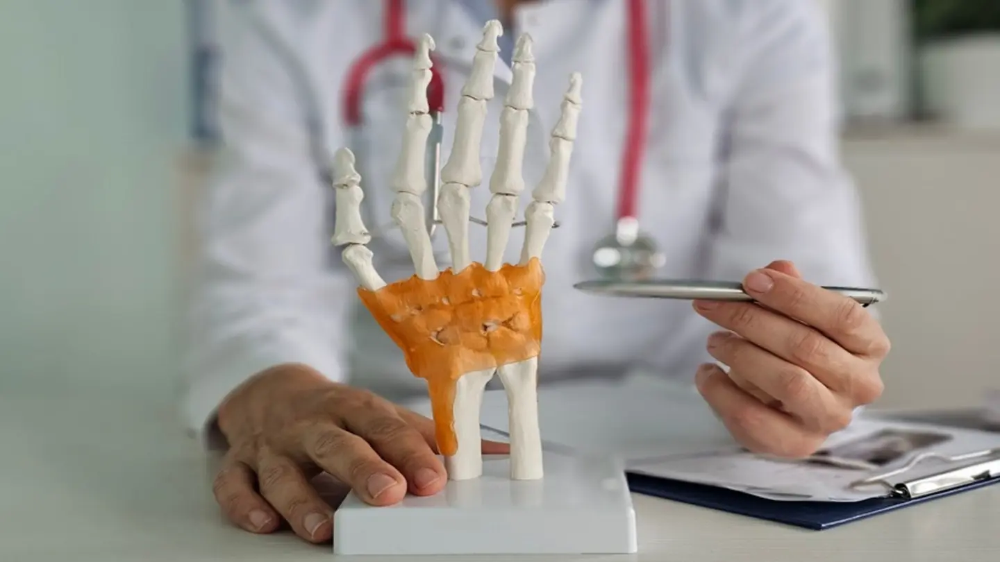 Hamate Bone Autograft Restores Proximal Scaphoid Function