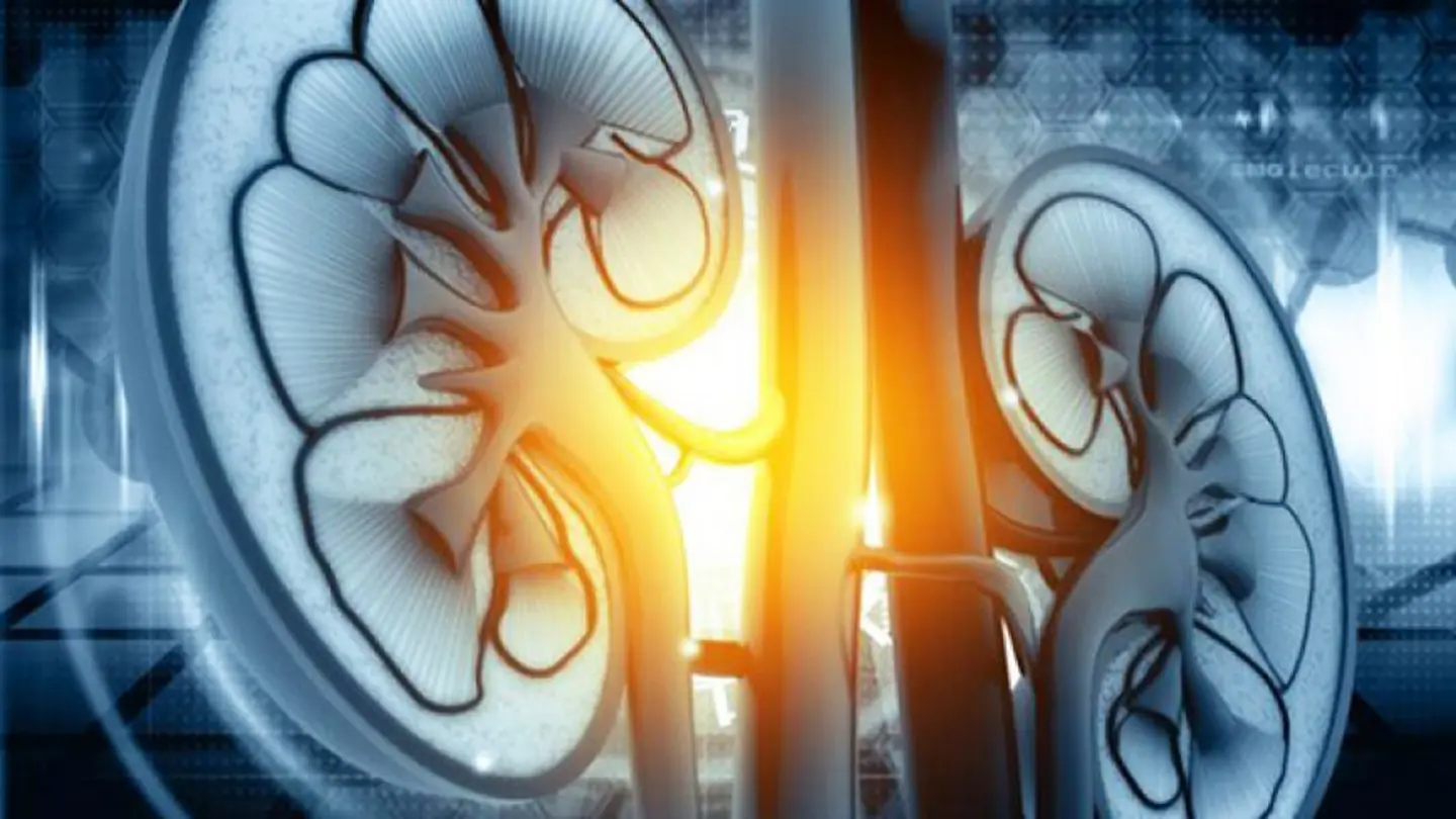 Metastatic Breast Cancer Biomarkers Revealed