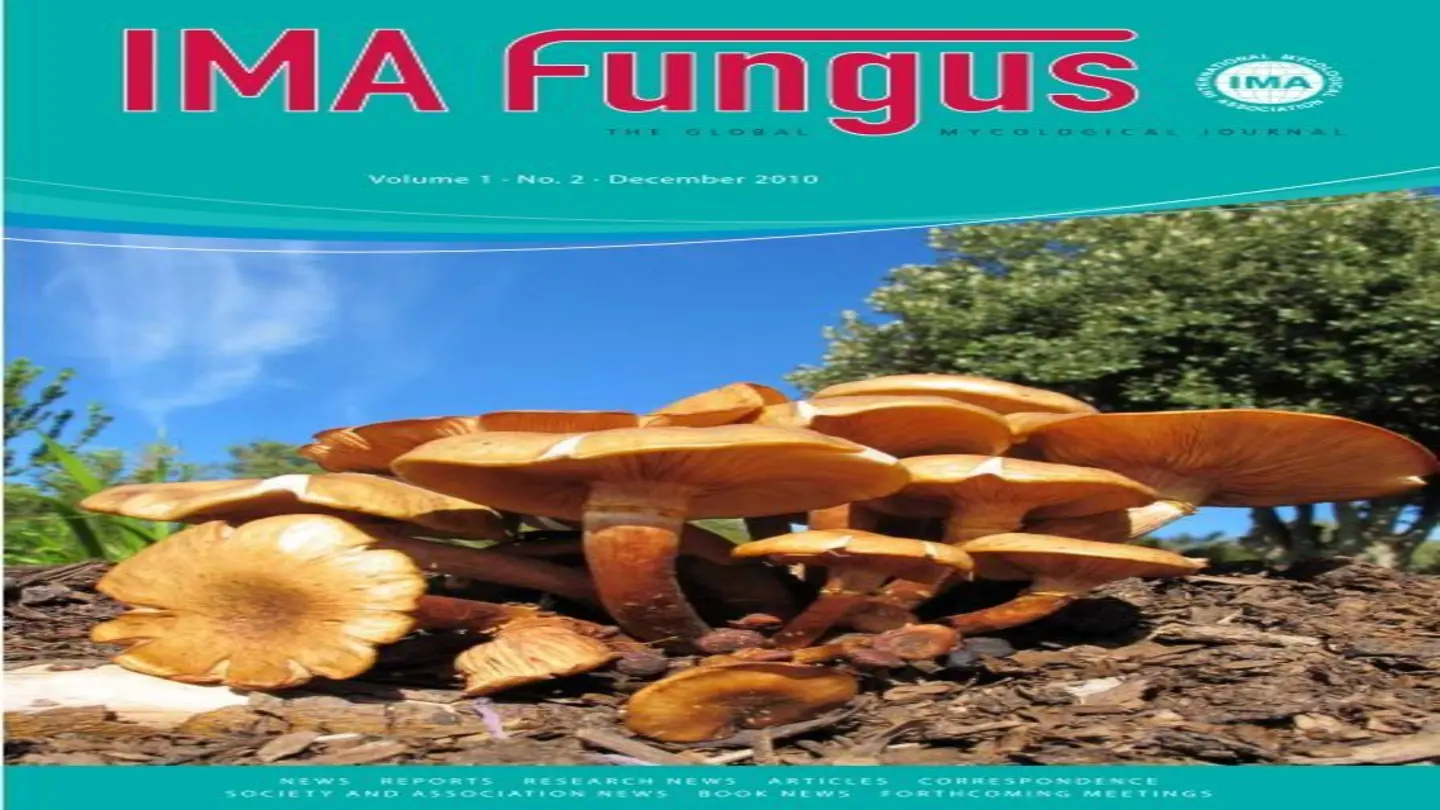 Menlo Ventures Leads Seed Round for Phylocode Software