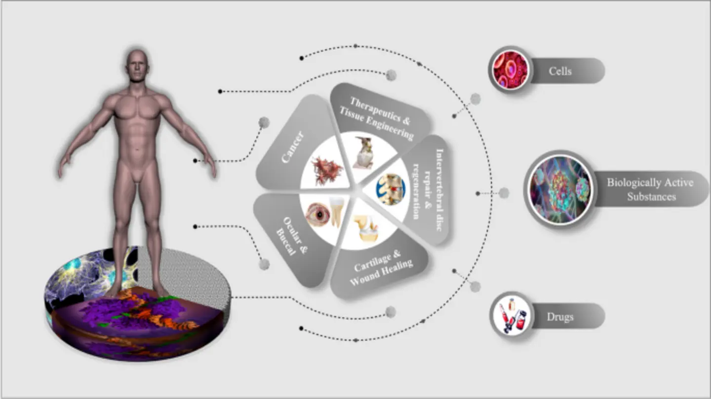 Fertility Breakthrough Regeneration Study